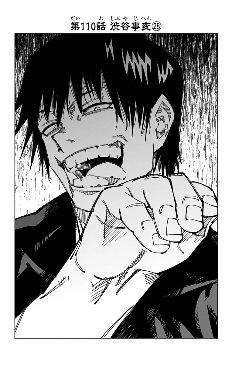 Official cover art of Chapter 110