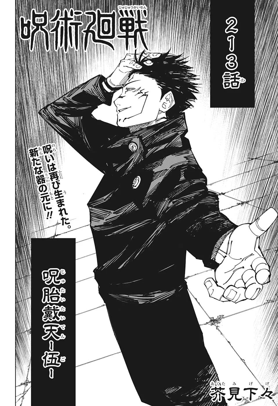 Official cover art of Chapter 213