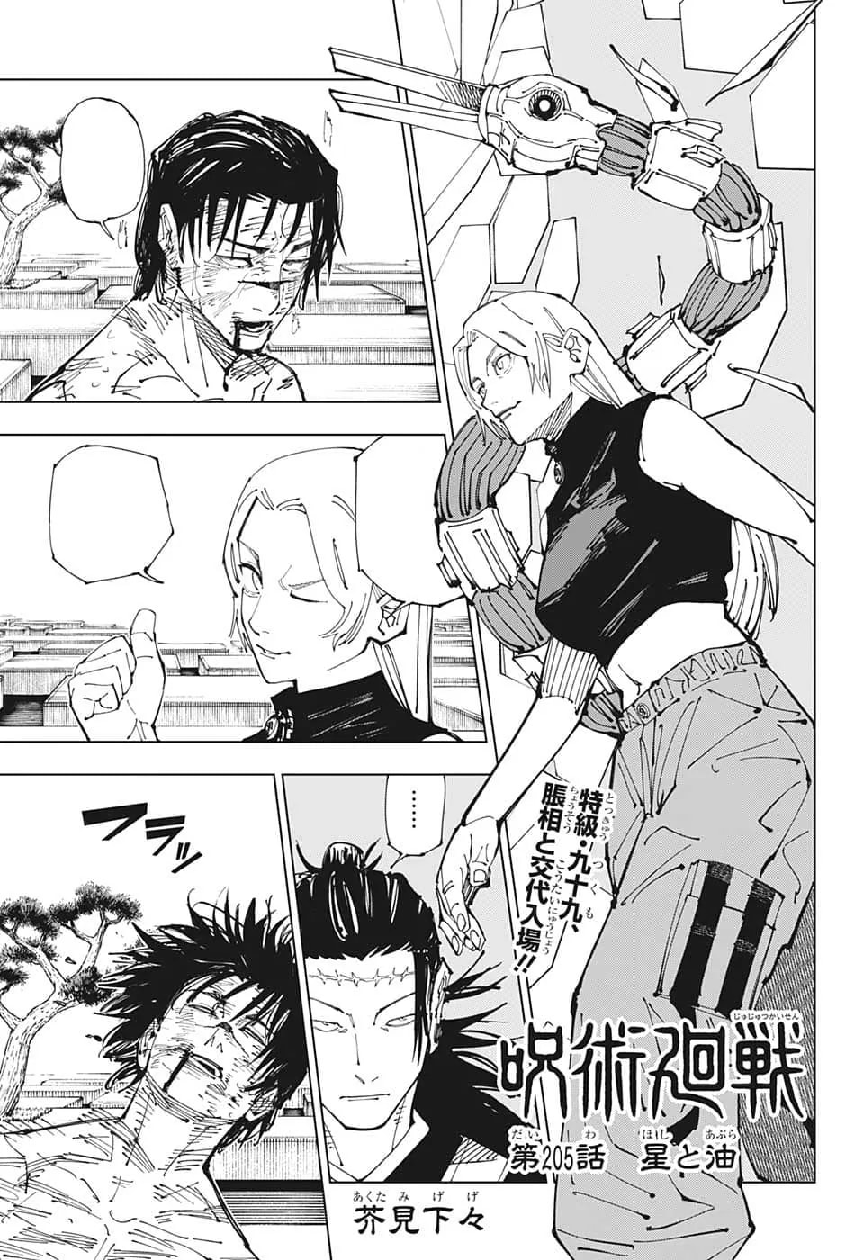 Official cover art of Chapter 205