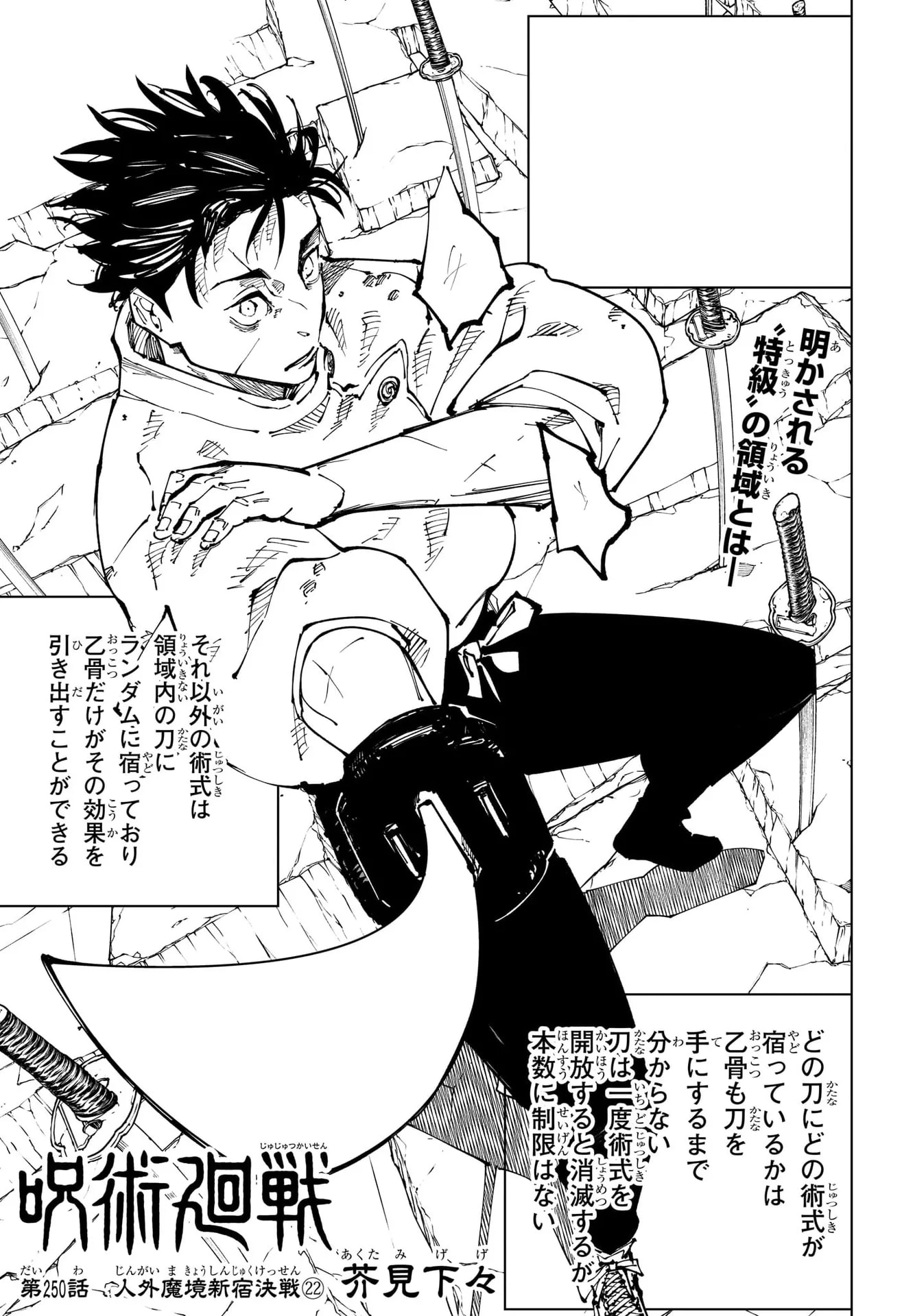 Official cover art of Chapter 250