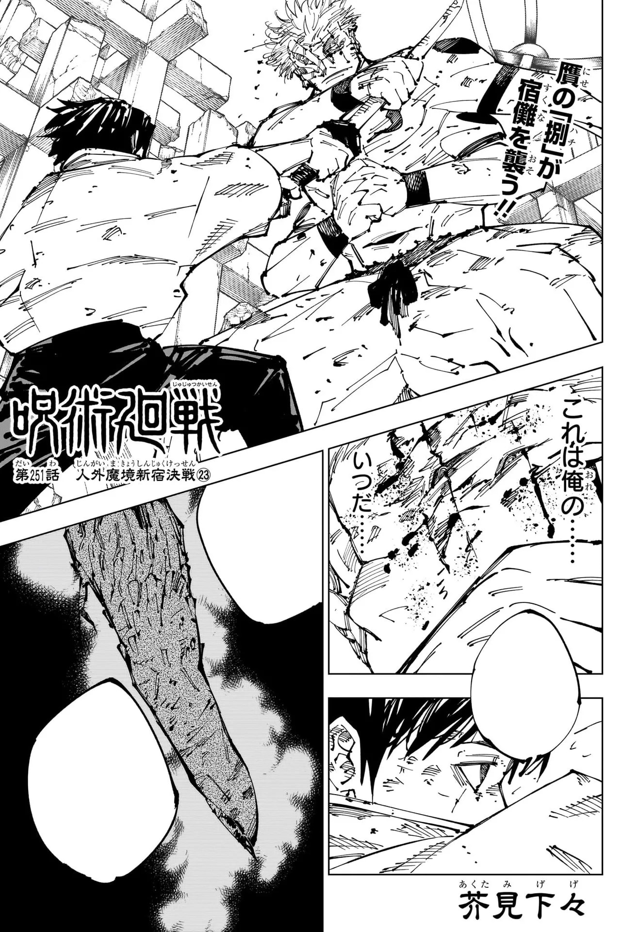 Official cover art of Chapter 251