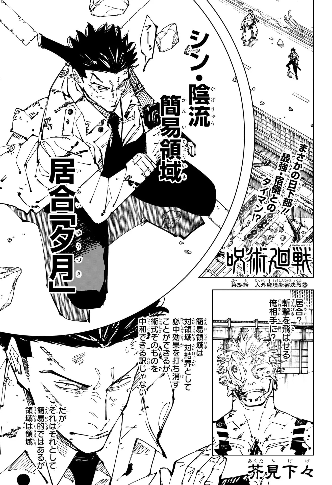 Official cover art of Chapter 254
